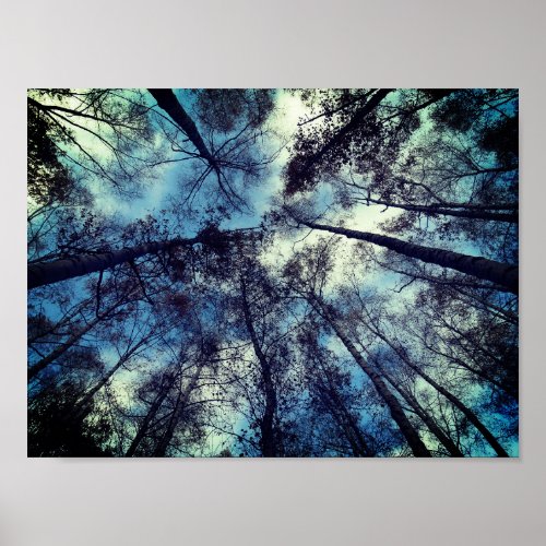 Skies Poetic Moment Value Poster Paper Matte