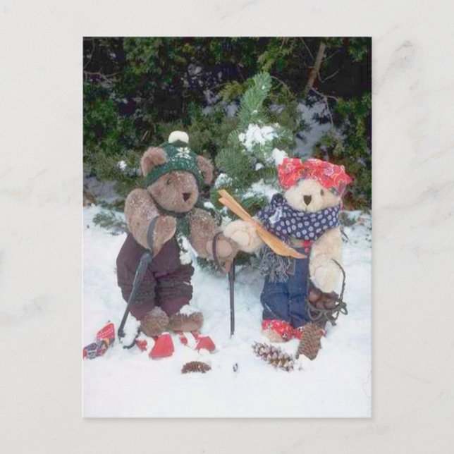 Skiing bears postcard (Front)