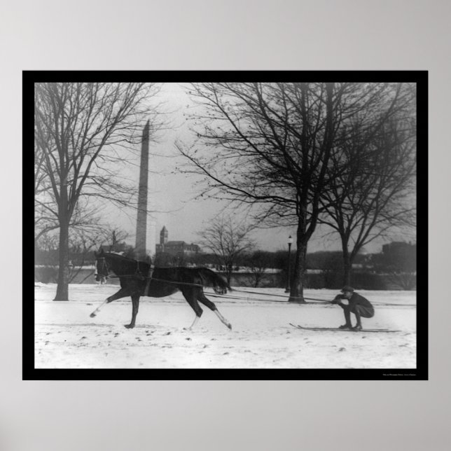 Skiing Behind Horse Washington, DC 1919 Poster (Front)