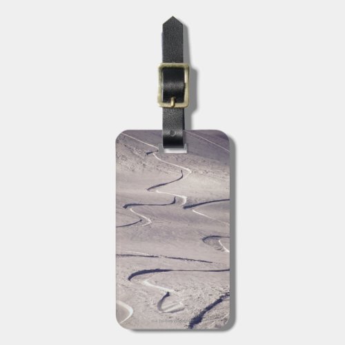 Skiing Tracks Luggage Tag