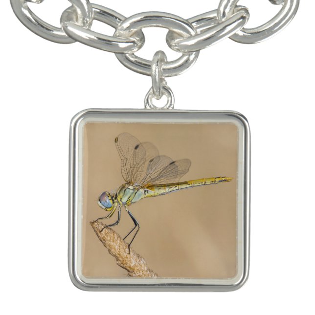 Skimmer Dragonfly Insect Female (CC BY 4.0) Bracel Bracelet (Design)