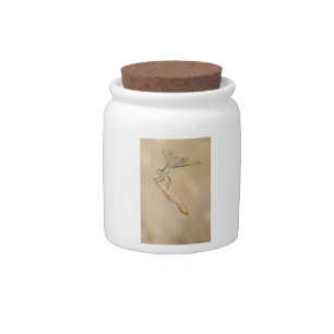 Skimmer Dragonfly Insect Female (CC BY 4.0) Candy Jar