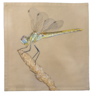 Skimmer Dragonfly Insect Female (CC BY 4.0) Cloth Napkin