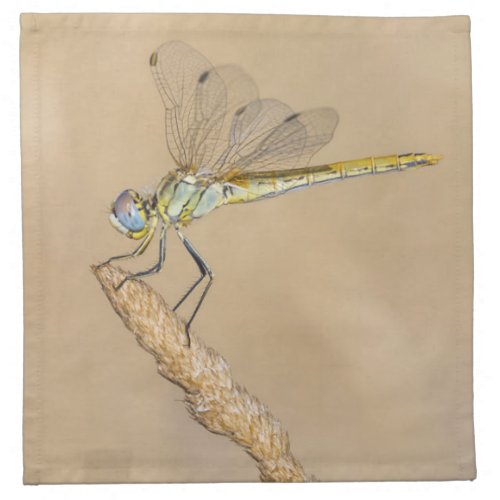 Skimmer Dragonfly Insect Female CC BY 40 Cloth Napkin
