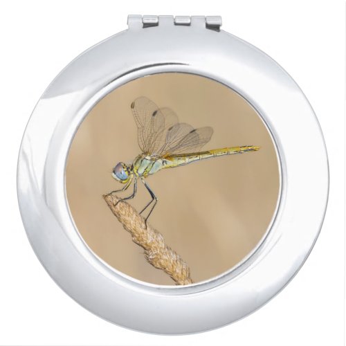 Skimmer Dragonfly Insect Female CC BY 40 Compac Compact Mirror