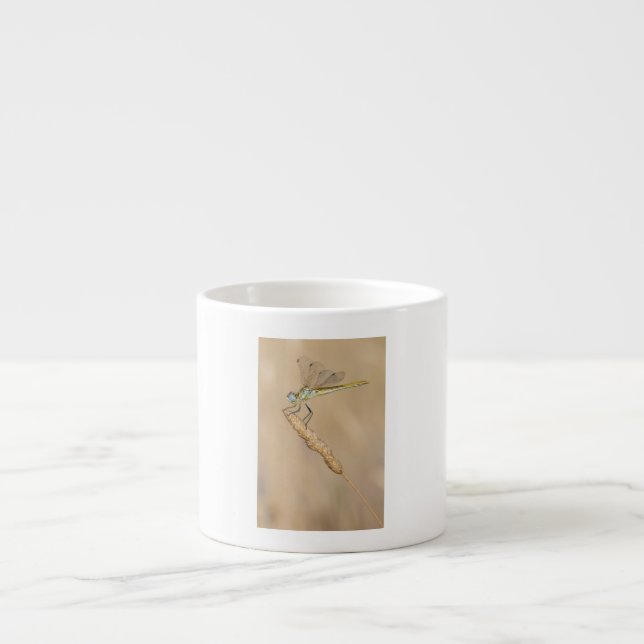 Skimmer Dragonfly Insect Female (CC BY 4.0) Espres Espresso Cup (Front)