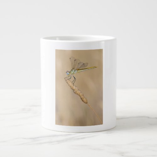 Skimmer Dragonfly Insect Female CC BY 40 Espres Giant Coffee Mug