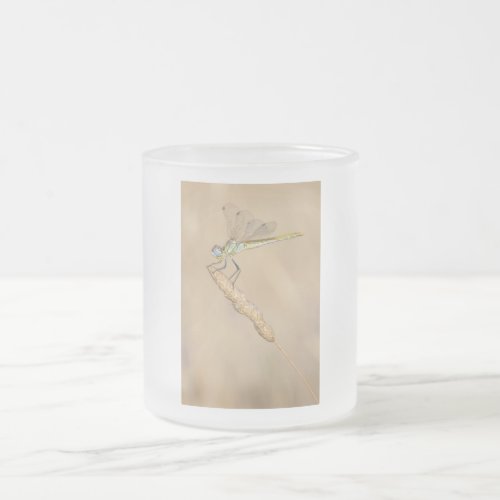 Skimmer Dragonfly Insect Female CC BY 40 Froste Frosted Glass Coffee Mug