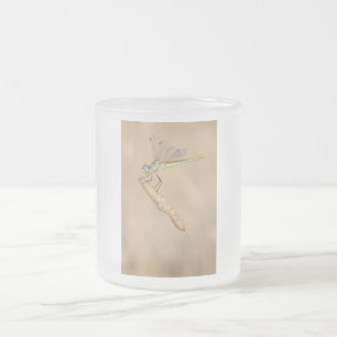 Skimmer Dragonfly Insect Female (CC BY 4.0) Froste Frosted Glass Coffee Mug