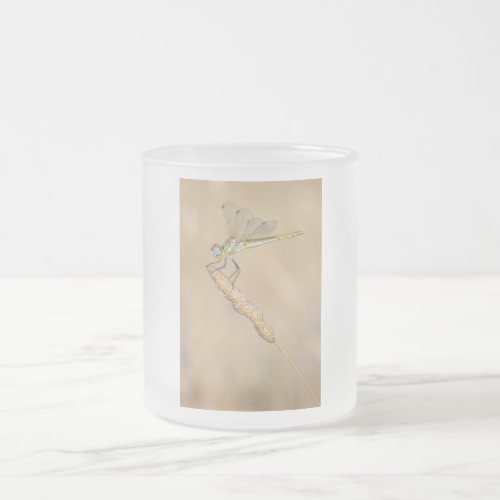 Skimmer Dragonfly Insect Female CC BY 40 Froste Frosted Glass Coffee Mug
