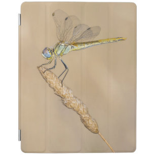 Skimmer Dragonfly Insect Female (CC BY 4.0) iPad Smart Cover