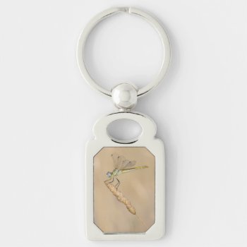 Skimmer Dragonfly Insect Female (cc By 4.0) Keychain by Onshi_Designs at Zazzle