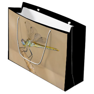 Skimmer Dragonfly Insect Female (CC BY 4.0) Large Gift Bag