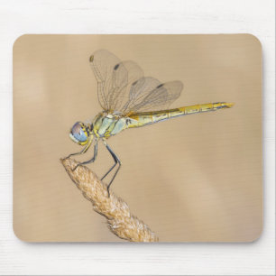 Skimmer Dragonfly Insect Female (CC BY 4.0) Mouse Pad