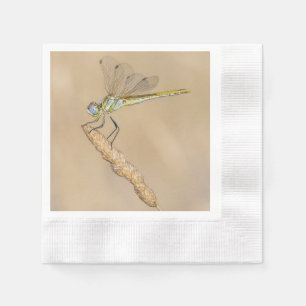 Skimmer Dragonfly Insect Female (CC BY 4.0) Napkins