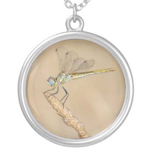 Skimmer Dragonfly Insect Female CC BY 40 Silver Plated Necklace