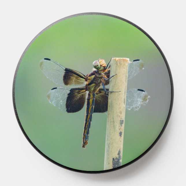 Skimmer PopSocket (Popsocket)