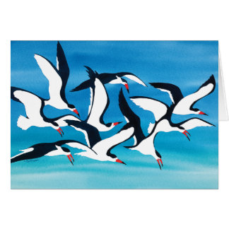 Skimming the Surface