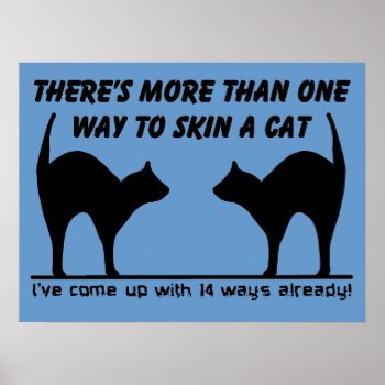 Skin A Cat Funny Poster Print Sign Humor by FunnyBusiness at Zazzle