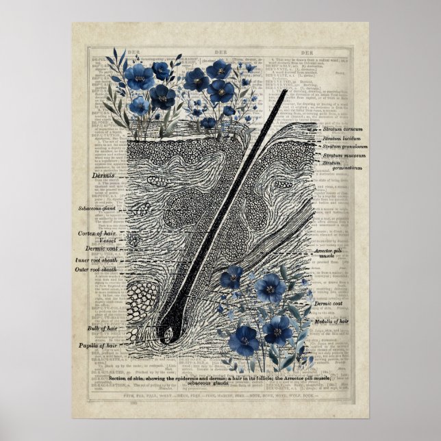 Skin Anatomy Blue Floral Vintage Dictionary Art de Poster (Front)
