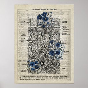 Skin Anatomy Blue Floral Vintage Dictionary Art Poster