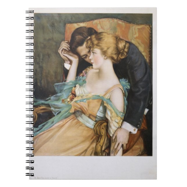 Skin You Love to Touch Mary Greene Blumenschein Notebook (Front)