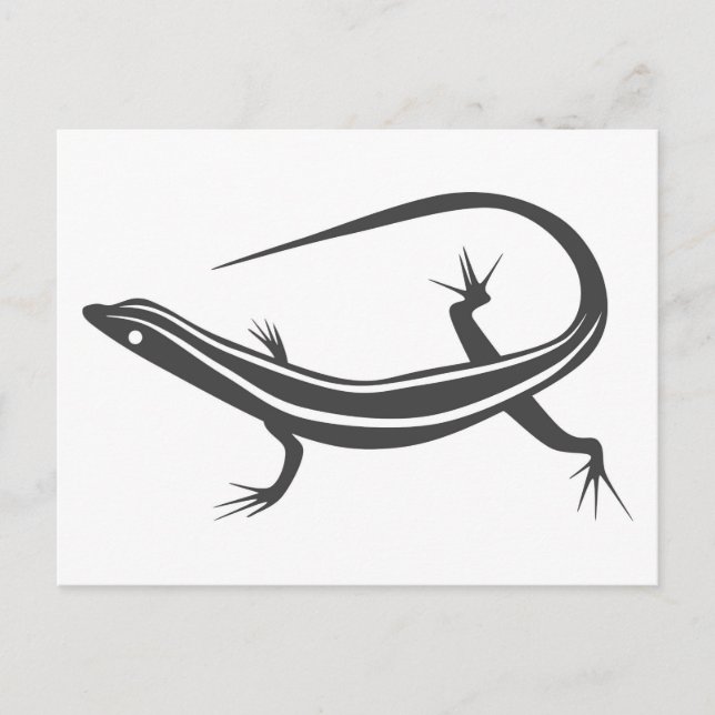 Skink lizard postcard (Front)