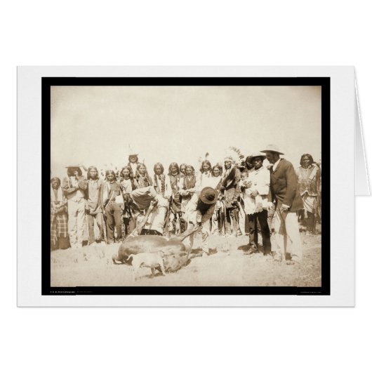 Skinning Cattle at Pine Ridge Reservation SD 1887 (Front Horizontal)