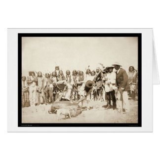 Skinning Cattle at Pine Ridge Reservation SD 1887 Cards