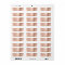 Skinny Blush Pink Rose White Return Address Labels