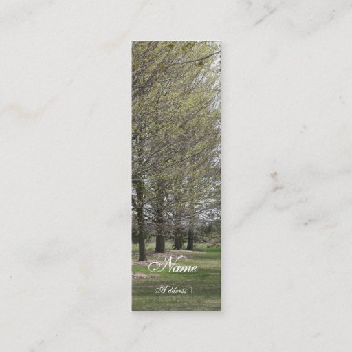 Customizable Skinny Business Business Cards