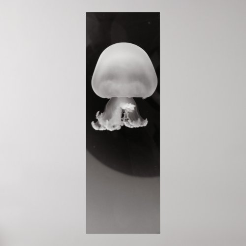 Skinny Poster _ Cannonball Jellyfish Blk  Wht