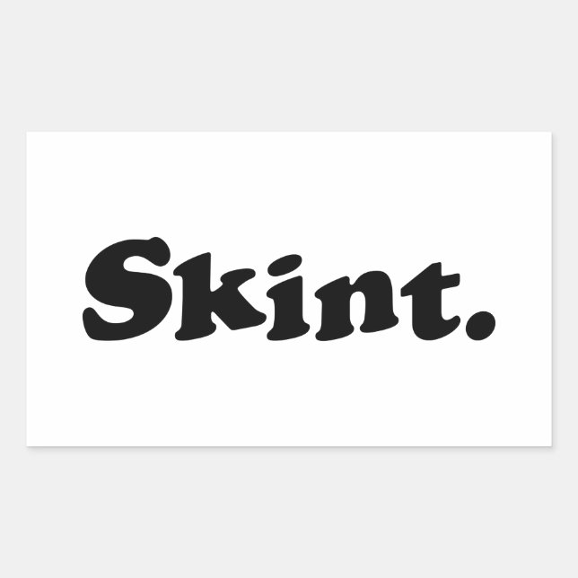 Skint. Rectangular Sticker (Front)