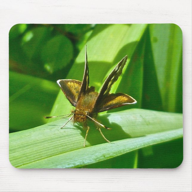 Skipper Butterfly Mousepad (Front)