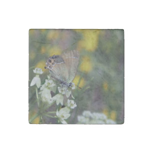 skipper butterfly on a flower stone magnet
