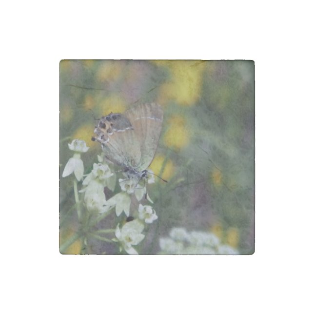 skipper butterfly on a flower stone magnet (Front)