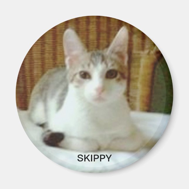 SKIPPY MAGNET (Front)