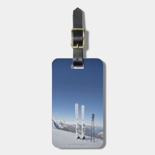 Skis and Ski Poles Luggage Tag