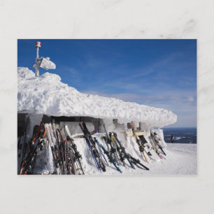 Skis in a ski resort, Lapland postcard