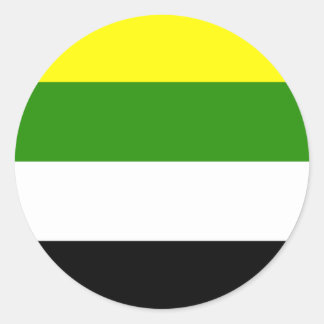 Skoliosexual Pride Flag Classic Round Sticker