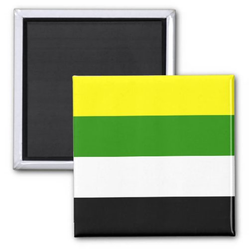 Skoliosexual Pride Flag  Magnet