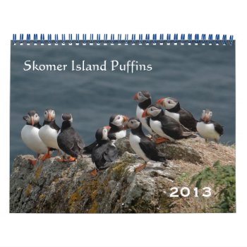 Skomer Island Puffins 2013 Calendar by Welshpixels at Zazzle