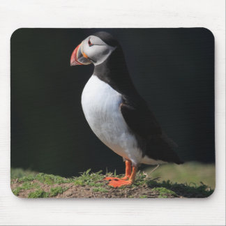 Skomer Island Puffins Mouse Pad