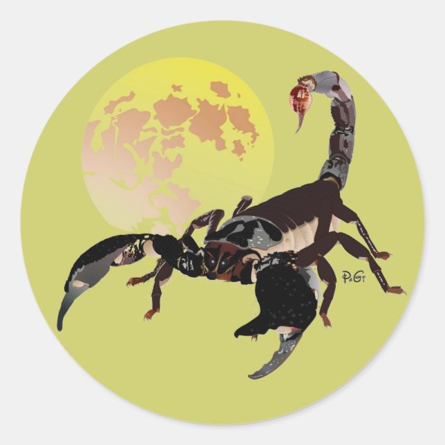 Skorpion Aufkleber Classic Round Sticker (Front)