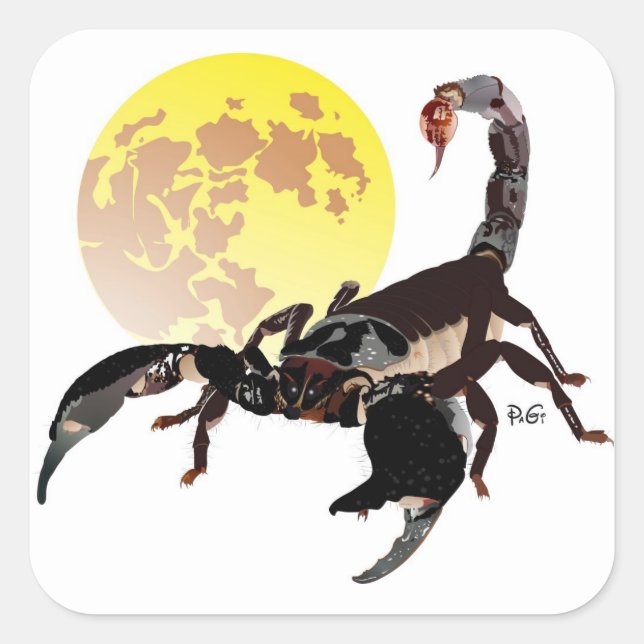 Skorpion Aufkleber Square Sticker (Front)