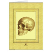 "Skull" (Front)