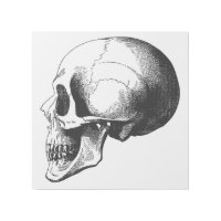 Skull 12" x 12" Gallery Wrap