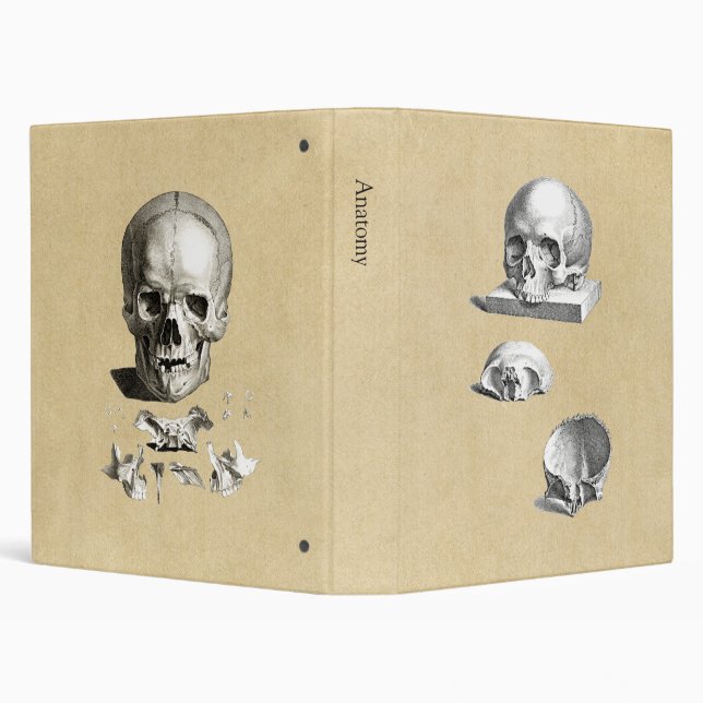 Skull and Bones Anatomy Drawing Binder (Background)