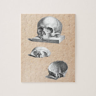 Skull and Bones Orthopedic Drawing Jigsaw Puzzle