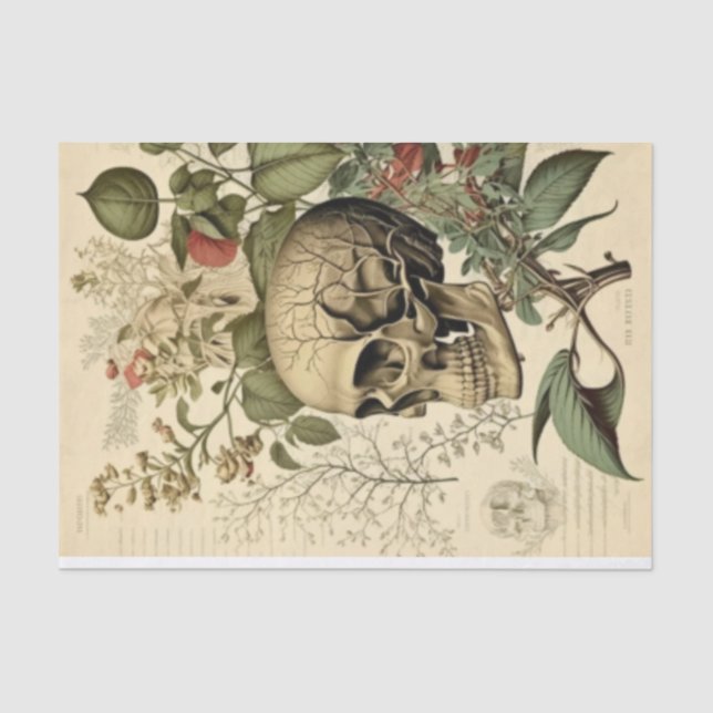 Skull and botany Victorian Decoupage Tissue Paper (Front)